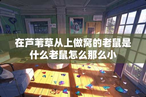 在芦苇草从上做窝的老鼠是什么老鼠怎么那么小