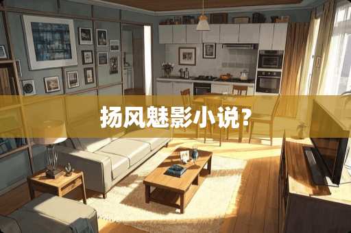 扬风魅影小说？