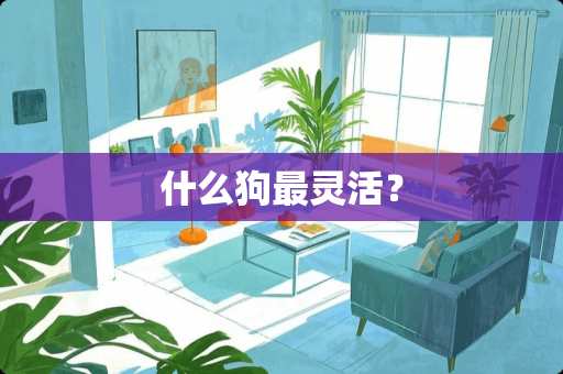 什么狗最灵活？