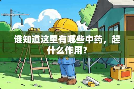 谁知道这里有哪些中药，起什么作用？