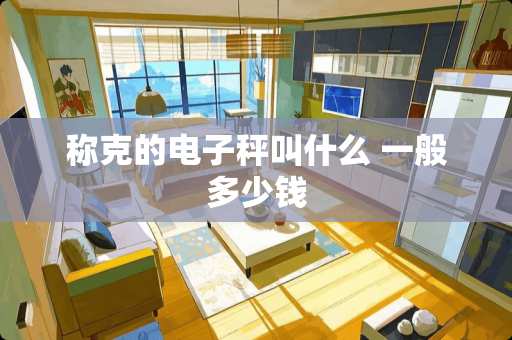 称克的电子秤叫什么 一般多少钱