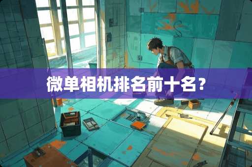 微单相机排名前十名？