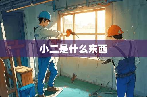 小二是什么东西