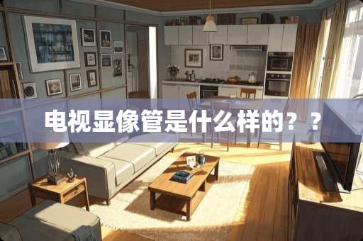 电视显像管是什么样的？？