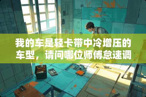 我的车是轻卡带中冷增压的车型，请问哪位师傅怠速调小怎么调？谢谢！