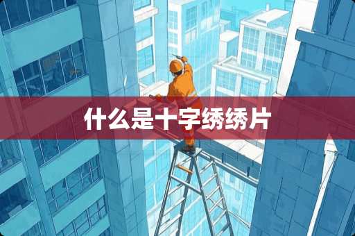 什么是十字绣绣片