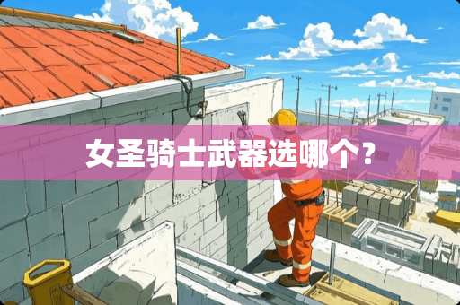 女圣骑士**选哪个？