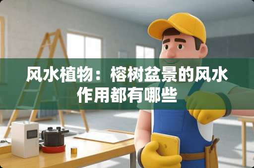 风水植物：榕树盆景的风水作用都有哪些