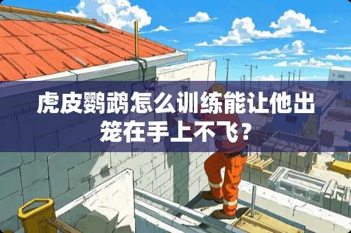 虎皮鹦鹉怎么训练能让他出笼在手上不飞？