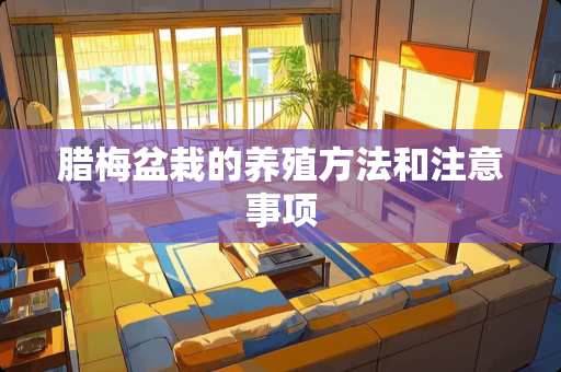 腊梅盆栽的养殖方法和注意事项