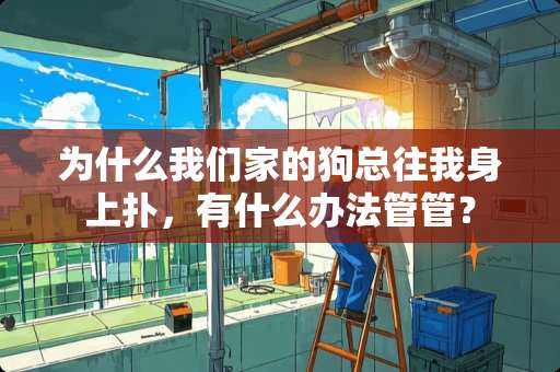 为什么我们家的狗总往我身上扑，有什么办法管管？