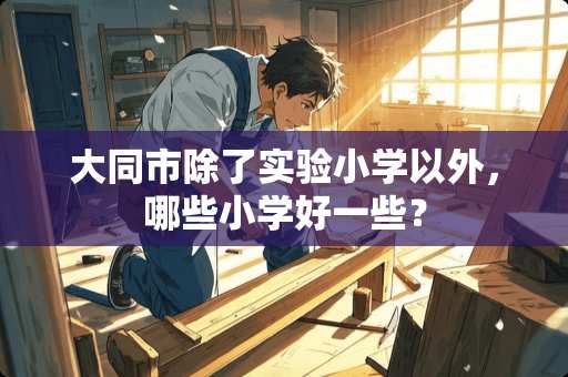 大同市除了实验小学以外，哪些小学好一些？