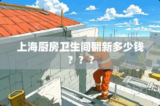 上海厨房卫生间翻新多少钱？？？