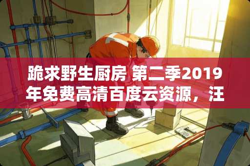 跪求野生厨房 第二季2019年免费高清百度云资源，汪涵主演的