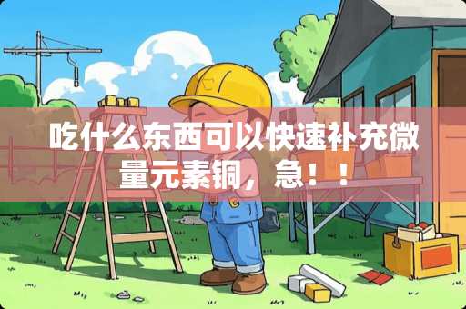 吃什么东西可以快速补充微量元素铜，急！！