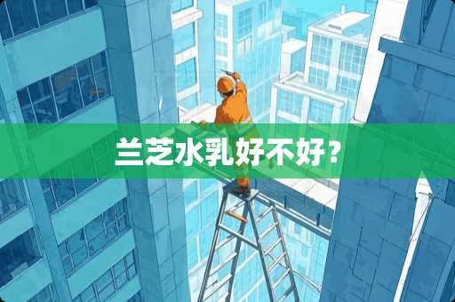 兰芝水*好不好? 兰芝水*好不好?