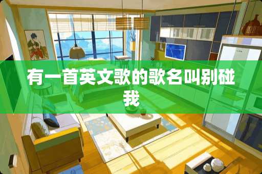 有一首英文歌的歌名叫别碰我