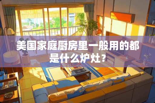 美国家庭厨房里一般用的都是什么炉灶？