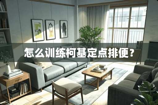 怎么训练柯基定点排便？