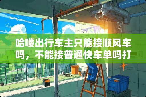 哈喽出行车主只能接顺风车吗，不能接普通快车单吗打车单吗？