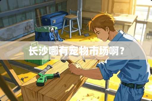 长沙哪有宠物市场啊？