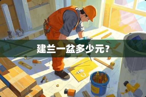 建兰一盆多少元？