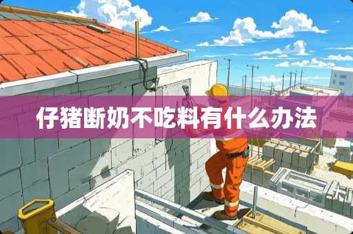 仔猪断奶不吃料有什么办法