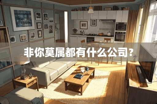 非你莫属都有什么公司？