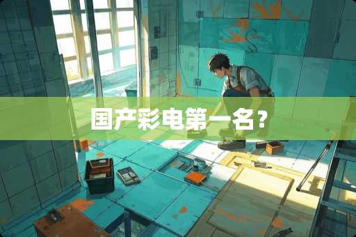 国产彩电第一名？