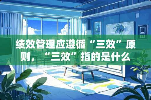 绩效管理应遵循“三效”原则，“三效”指的是什么