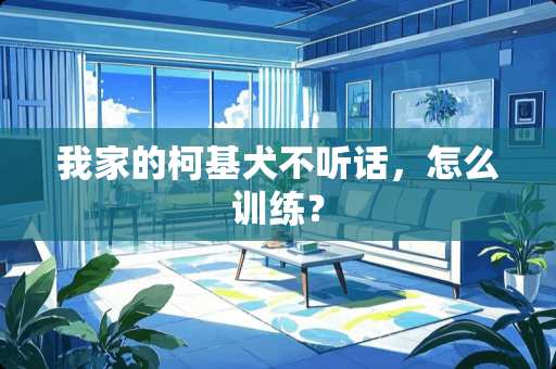 我家的柯基犬不听话，怎么训练？