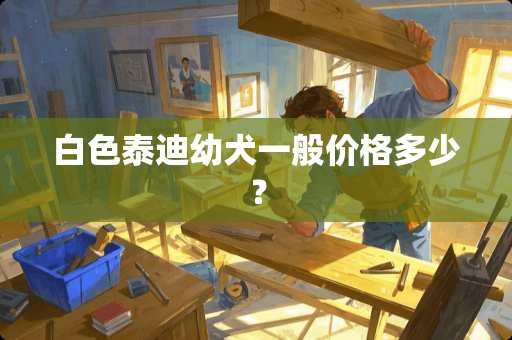 白色泰迪幼犬一般价格多少？