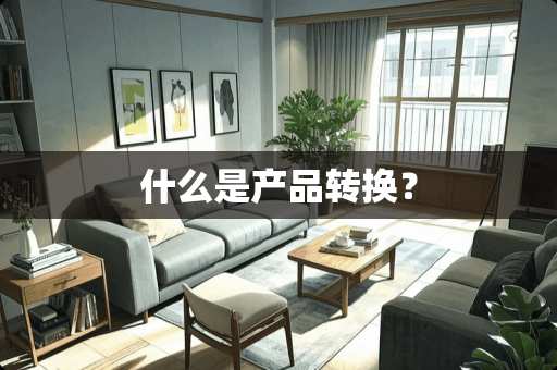什么是产品转换？