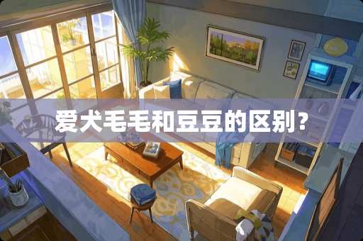 爱犬毛毛和豆豆的区别？