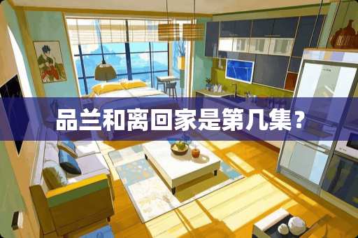 品兰和离回家是第几集？