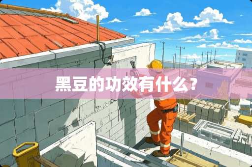 黑豆的功效有什么？