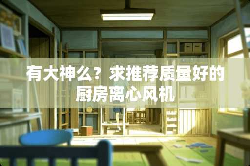 有大神么？求推荐质量好的厨房离心风机