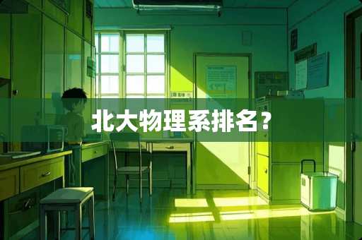 北大物理系排名？