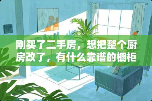 刚买了二手房，想把整个厨房改了，有什么靠谱的橱柜可以介绍？