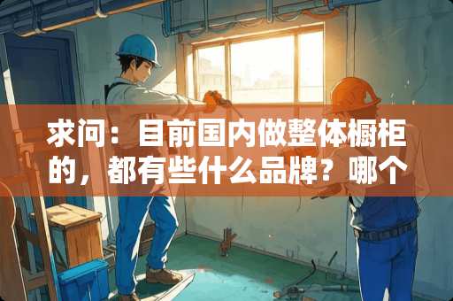 求问：目前国内做整体橱柜的，都有些什么品牌？哪个更好？