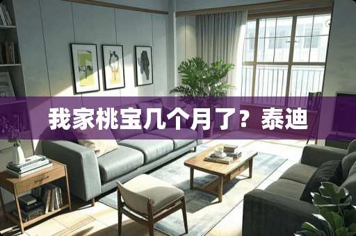 我家桃宝几个月了？泰迪