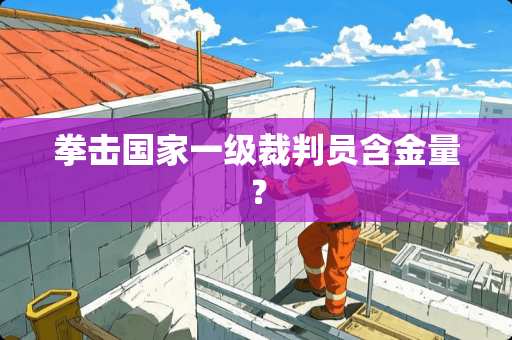 拳击国家一级裁判员含金量？