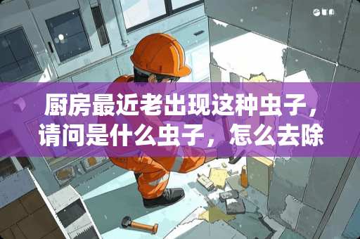 厨房最近老出现这种虫子，请问是什么虫子，怎么去除啊？