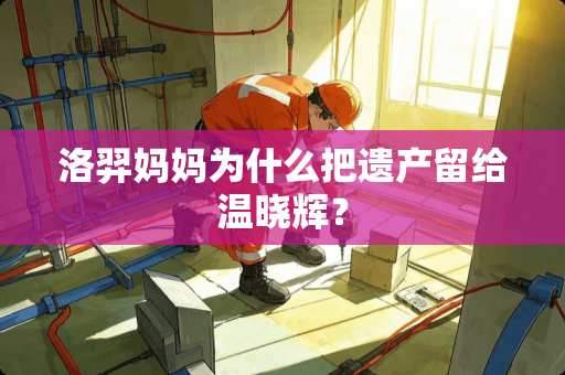 洛羿妈妈为什么把遗产留给温晓辉？