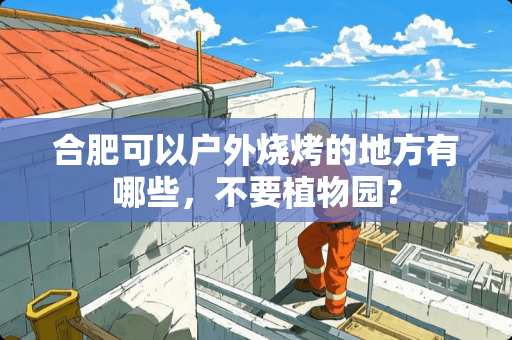 合肥可以户外烧烤的地方有哪些，不要植物园？