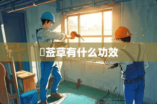 豨莶草有什么功效