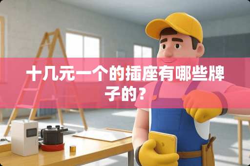 十几元一个的插座有哪些牌子的？