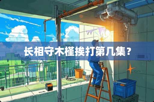 长相守木槿挨打第几集？