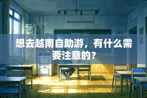 想去越南自助游，有什么需要注意的？