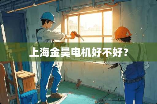 上海金昊电机好不好？